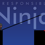 Irresponsible ninja